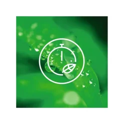 Best Aeg pesukone LTR6O622K1 6 kg valkoinen