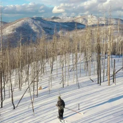 Hot Altai liukulumikenkä Hok 145 cm + Pivot siteet