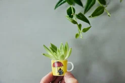 Sale Moomin Arabia Muumi minimukisetti 6 kpl klassikot