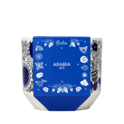 Outlet Arabia Pastoraali ruukku Pastoraali 100x120 mm sininen