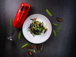 Bamix Cordless Plus sauvasekoitin ladattava punainen