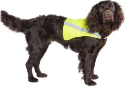 Best Friend Gear BF Gear huomioliivi M