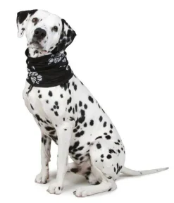 koiran heijastava tuubihuivi*Best Friend Clearance