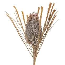 Best Bloomingville koristeoksa Palmflower ruskea