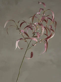 Clearance Bloomingville koristeoksa Eucalyptus punainen