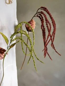 koristeoksa Foxtail punaruskea*Bloomingville Sale