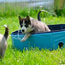 Hot Boogie koirien uima-allas 120 cm