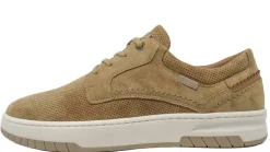 tennarit Paris 1-B*Bufflox Clearance