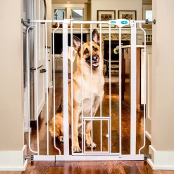 Clearance Carlson Pet Products korkea Lemmikkiportti valkoinen