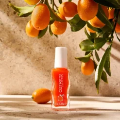 huulikiilto Summer Lips Lip Glaze C02*Catrice New