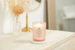 New Chesapeake Bay tuoksukynttilä Stillness & Purity M