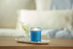 Online Chesapeake Bay tuoksukynttilä Confidence & Freedom M