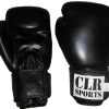 nyrkkeilyhanskat Pro 10 oz*CLR Sports New
