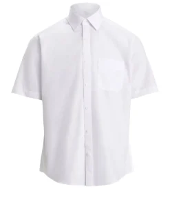 New Create paita One SS