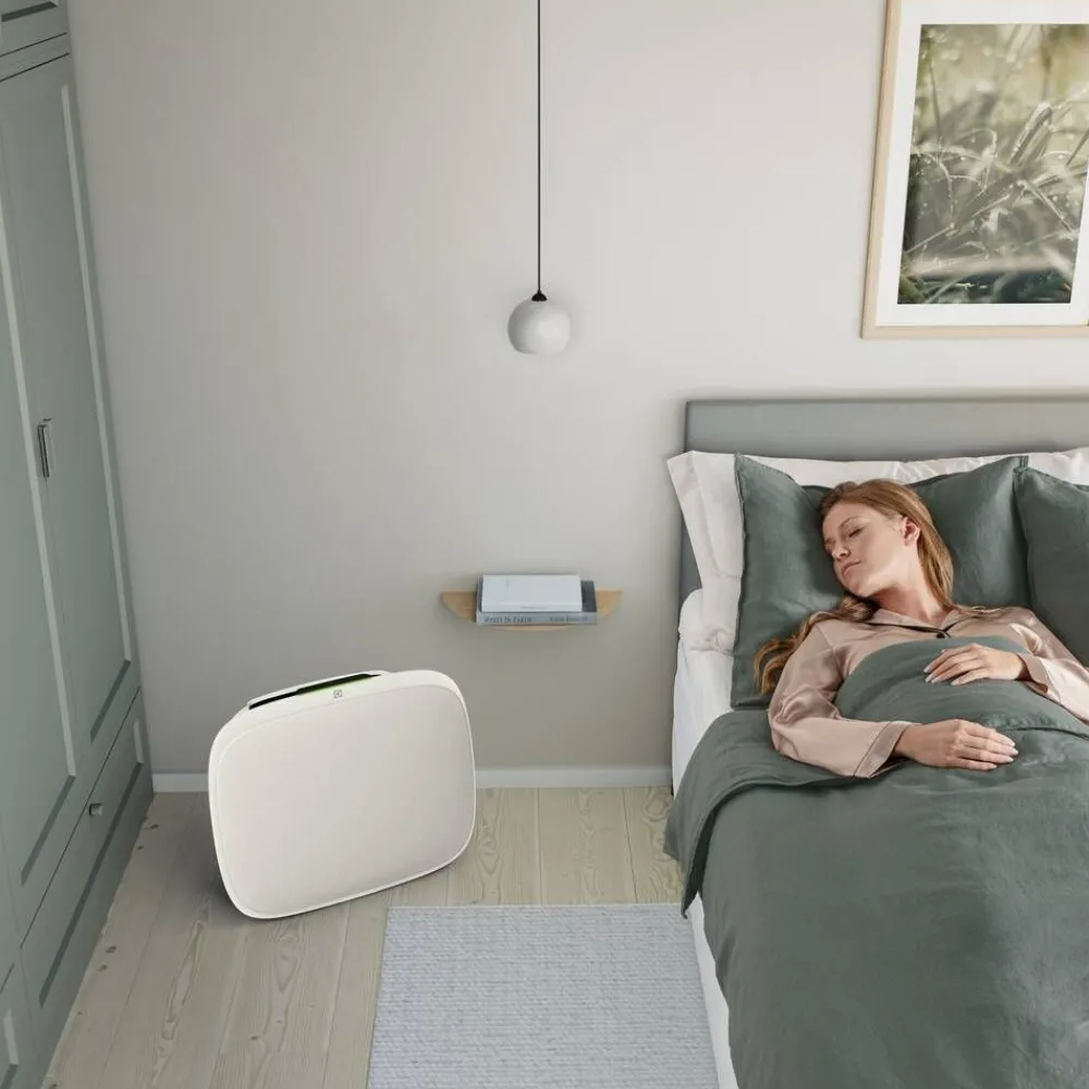 Well A5 ilmanpuhdistin WA51-303WT valkoinen*Electrolux Discount