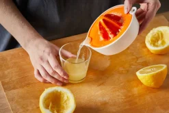 Functional Form Sitruspuristin*Fiskars