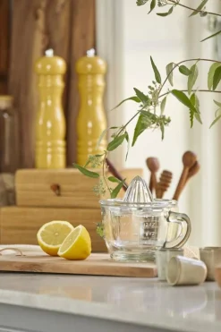 sitruspuristin*IB Laursen Best