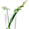 Aalto Maljakko 251 mm kirkas*Iittala Hot