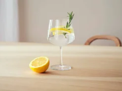 Essence coctaillasi 63 cl 2 kpl*Iittala New