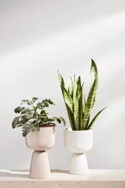 Best Iittala Nappula Ruukku 260x155 mm beige