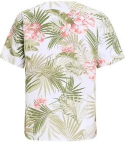 pusero Muenster*Lea H Hot