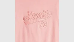 Online Levi's t-paita Graphic Boxy t-shirt