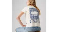 Online Levi's t-paita Graphic Boxy t-shirt