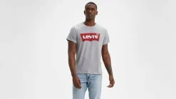 t-paita Graphic Set-In Neck*Levi's Best