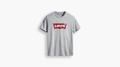 t-paita Graphic Set-In Neck*Levi's Best