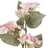 hortensia oksa valkoinen*4Living Best
