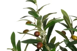 Best 4Living oliivipuu ruukussa 60 cm