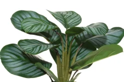 silkkimaija muoviruukussa*4Living Hot