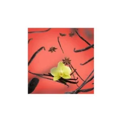 New Maison Berger huonetuoksu Vanilla Gourmet 100 ml