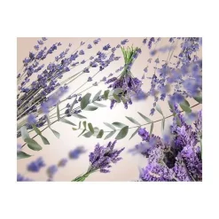Discount Maison Berger huonetuoksu Lavender Fields 100 ml
