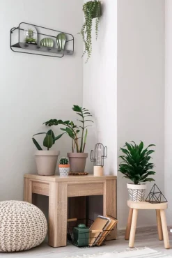 Mirrors and More seinähylly Liandra musta