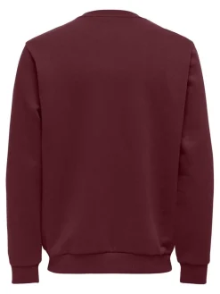 Best Only & Sons college Onsceres