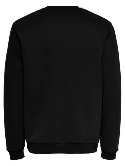 Best Only & Sons college Onsceres