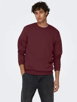 Best Only & Sons college Onsceres