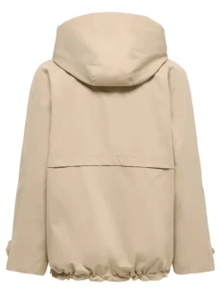 Sale Only takki Onlorchid