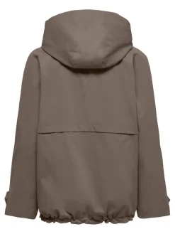 Sale Only takki Onlorchid