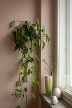 muna Studio 8 cm valkoinen*Pentik