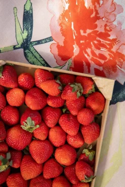 pöytäliina Huvila 145x250 cm v.oranssi*Pentik Outlet