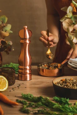 New Peugeot Paris Chef Copper pippurimylly 22 cm