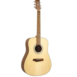 akustinen kitara RGI-01*Randon Clearance