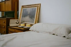 radio WR-101 Bluetooth vaalea tammi*Sangean Best