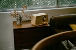 radio WR-101 Bluetooth vaalea tammi*Sangean Best