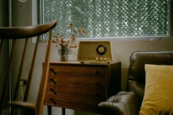 radio WR-101 Bluetooth vaalea tammi*Sangean Best