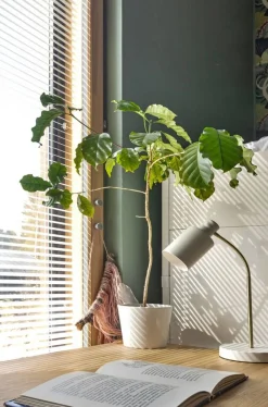 pöytävalaisin Darcel mattavalkoinen*Sessak Discount