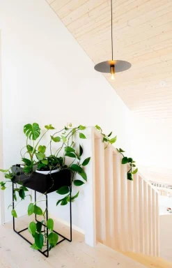 riippuvalaisin Morgan musta*Sessak Outlet