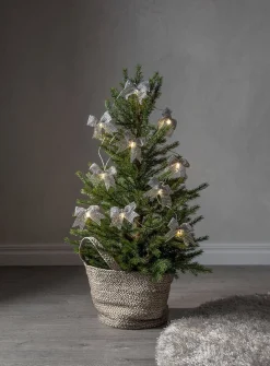 valosarja Bowie 225 cm hopea*Star Trading Discount